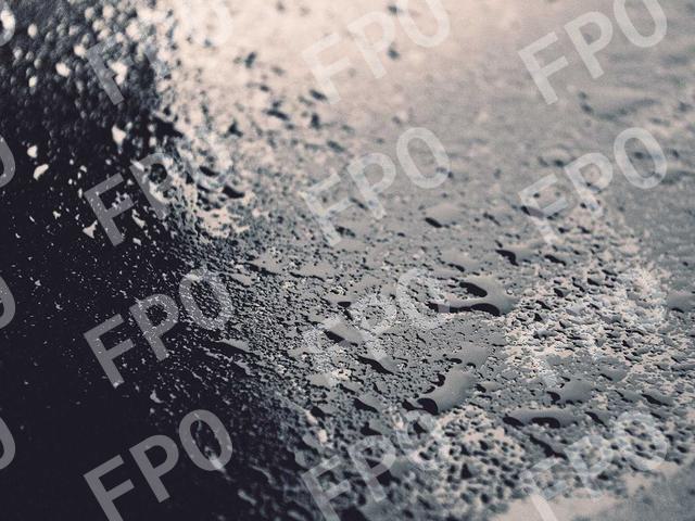 Fusce Tincidunt Inceptos