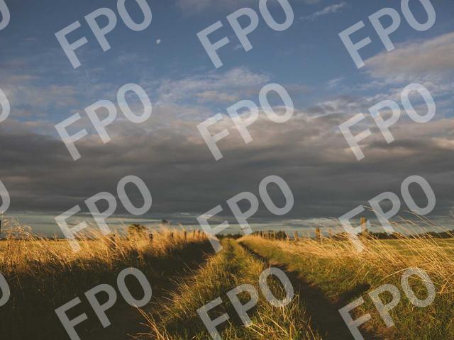 Sollicitudin Habitant Nec Fames